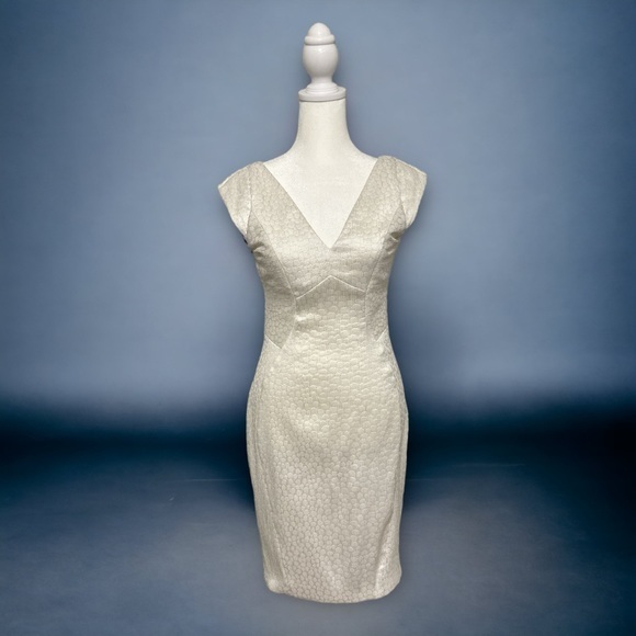 Yoana Baraschi Dresses & Skirts - BHLDN Yoana Baraschi Metallic White Mini Dress